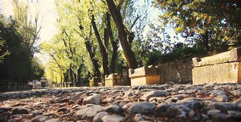 Looking around Arles and Promenade Des Alyscamps, the 